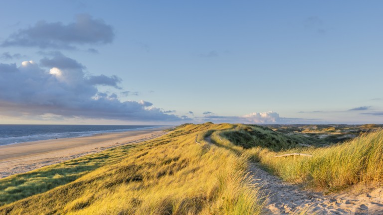 Omgeving - Landal Kustpark Egmond aan Zee