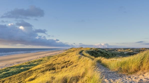 Omgeving - Roompot Kustpark Egmond aan Zee