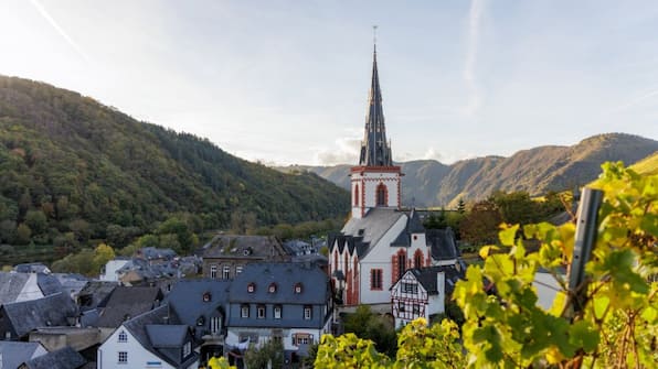 Omgeving - Roompot Ferienresort Cochem