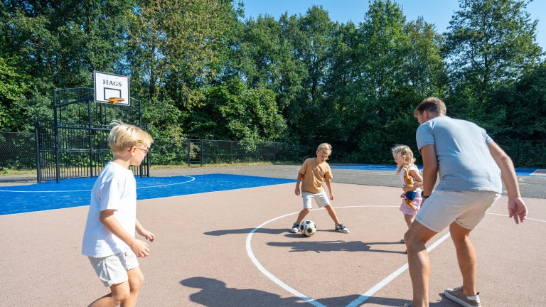 Sportveld - Landal Bospark Lunsbergen
