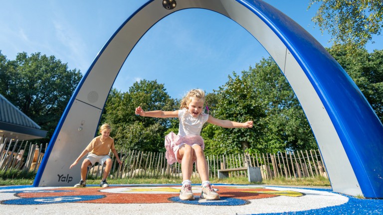 Speeltuin - Landal Bospark Lunsbergen