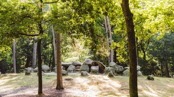 Omgeving - Roompot Bospark Lunsbergen