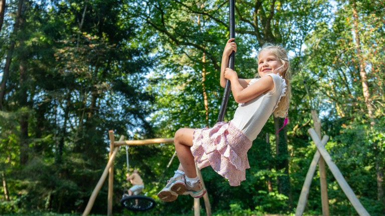 Speeltuin - Landal Bospark Lunsbergen