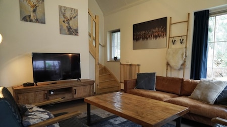 Wohnzimmer - EuroParcs Beekbergen