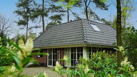 Außenansicht - EuroParcs Beekbergen