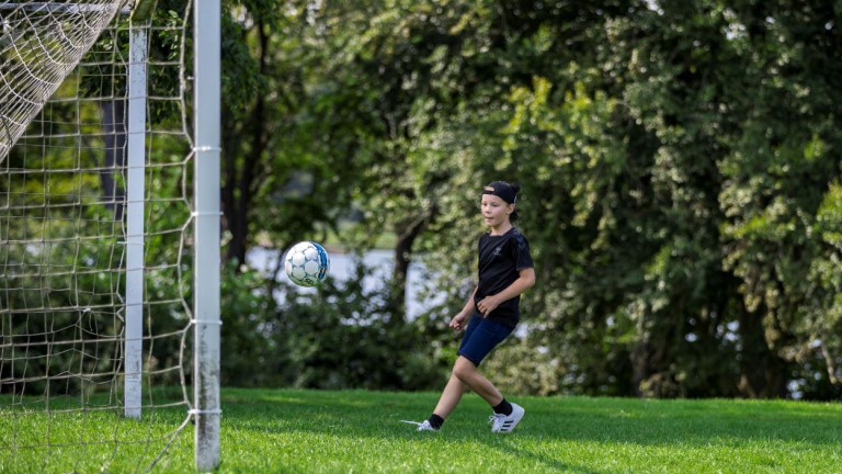 Sportveld - Landal de Vlinderhoeve