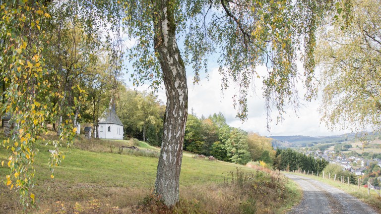 Omgeving - Appartementen Alte Schule Züschen