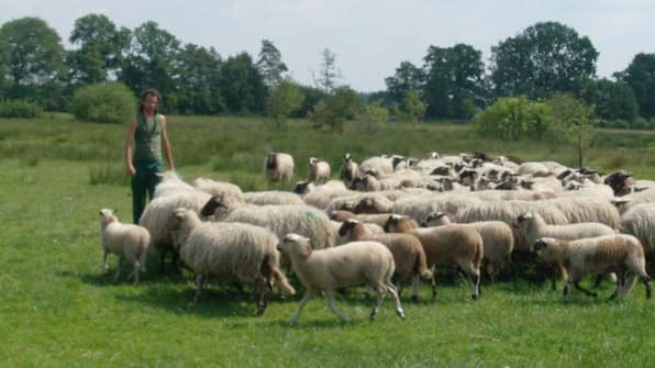 Omgeving - Recreatiecentrum Adelhof Omgeving - Recreatiecentrum Adelhof