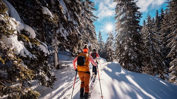 Omgeving - Landal Arber