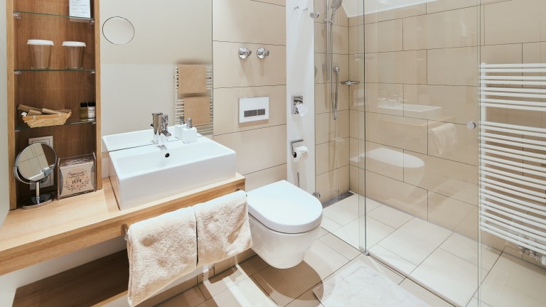 Badkamer met inloopdouche, toilet, wastafel, grote en kleine spiegel