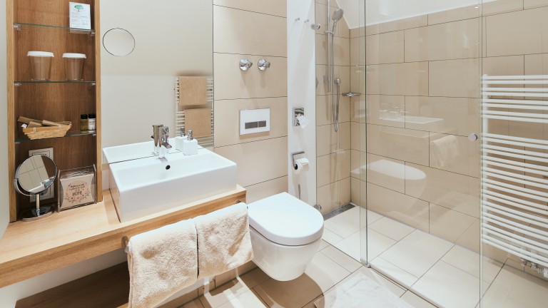 Badkamer met inloopdouche, wastafel, toilet, grote en kleine spiegel.