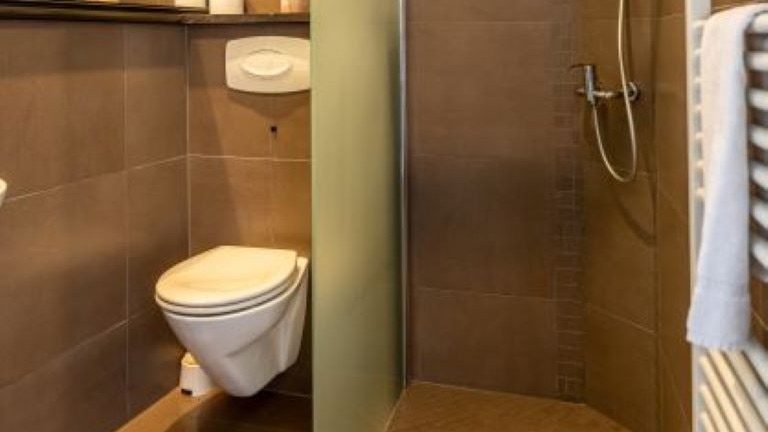 Badezimmer mit Toilette und begehbarer Dusche.