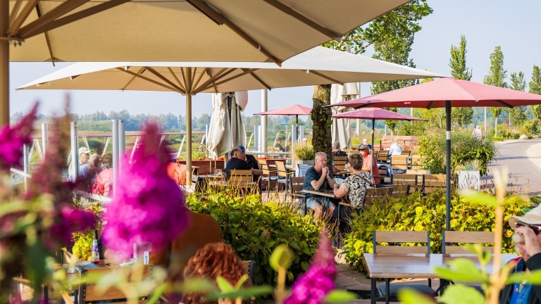 Atmosphäre der Terrasse mit Sonnenschirmen und rosa Blumen.