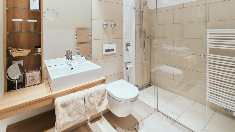 Badkamer met inloopdouche, toilet, wastafel, grote en kleine spiegel