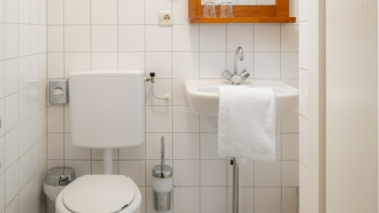 Badkamer met toilet, douche en wastafel