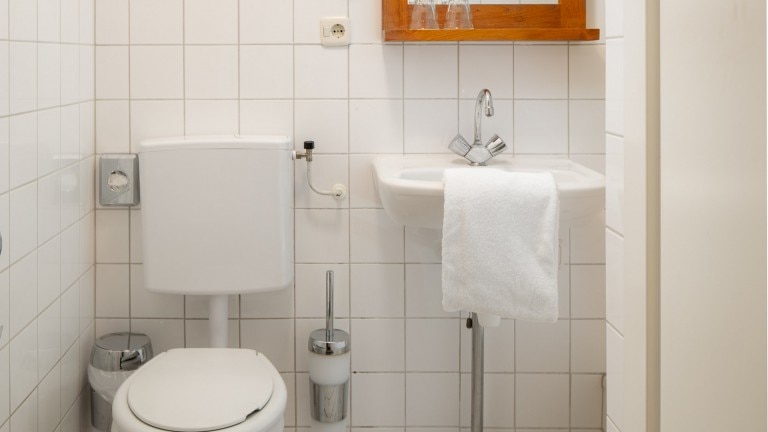 Badkamer met douche, toilet en wastafel.