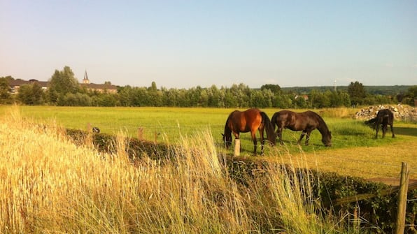 Zuid- Limburg - Hotel de Korenwolf