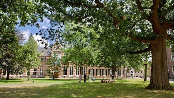 Drents Museum - Bonte Wever