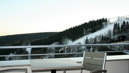 Balkon - UplandParcs Residenz Winterberg