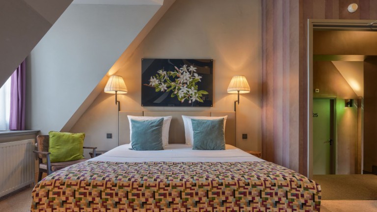 Deluxe kamer - Boutique Hotel The Roosevelt