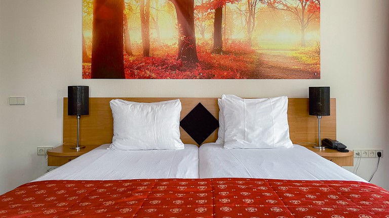 Hotelkamer - Hof van Gelre Hotel by Flow