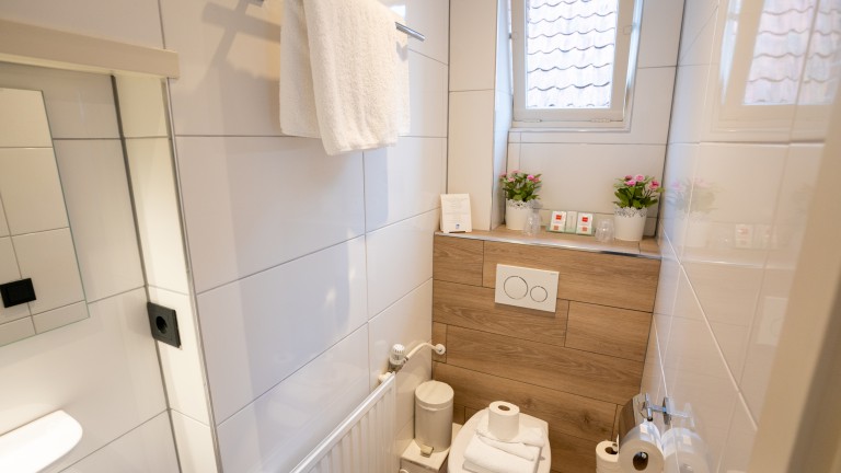 Kleine standaard kamer - Hotel van der Maas