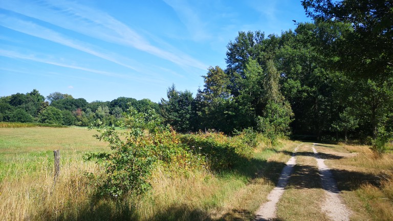 Omgeving - Camping Geelenhof
