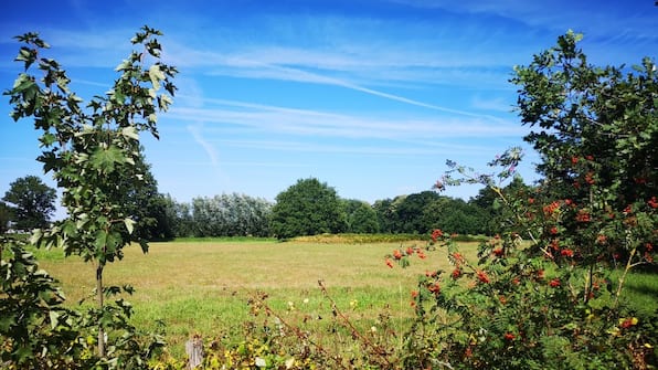 Omgeving - Camping Geelenhof
