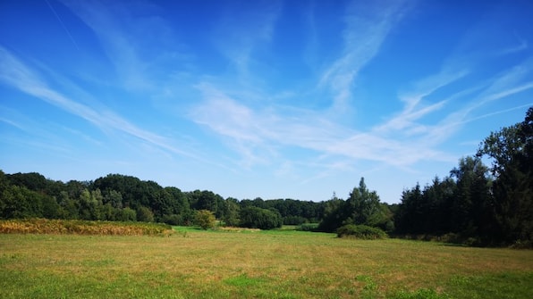 Omgeving - Camping Geelenhof