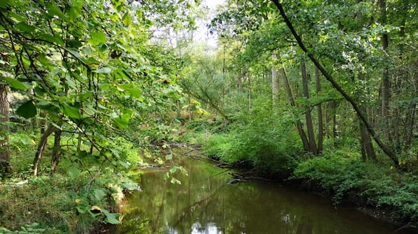 Omgeving - Camping Geelenhoof