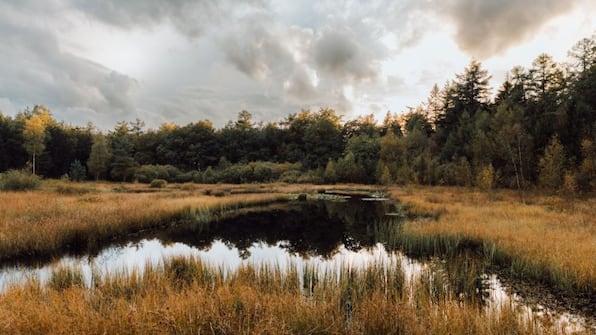 Omgeving - Fietsvakantie rondje Drenthe