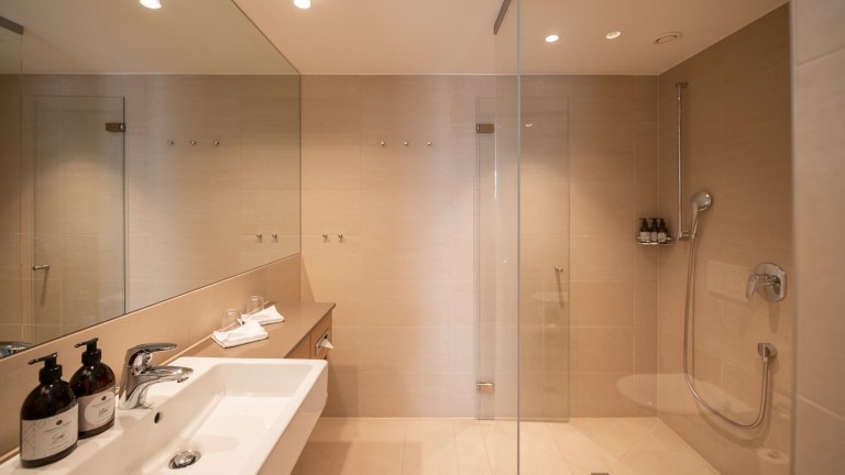 Standaard kamer Pfänder - Seehotel am Kaiserstrand