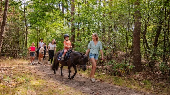 Ponyrijden - Camping Samoza Ponyrijden - Camping Samoza