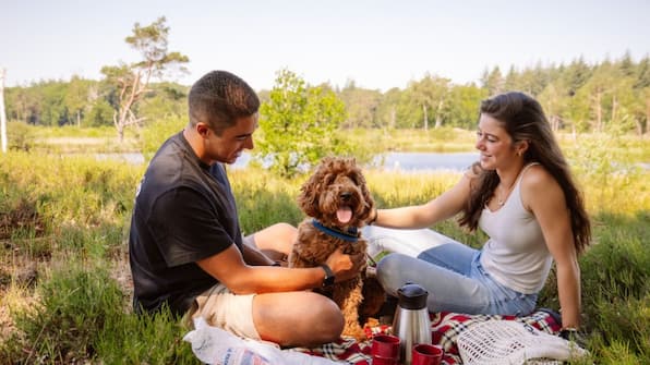 Omgeving - Camping Samoza Omgeving - Camping Samoza