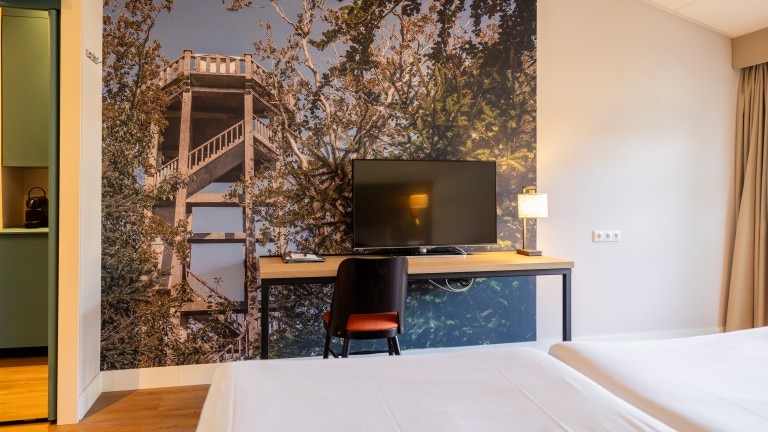 Comfort kamer - Parkhotel Tjaarda