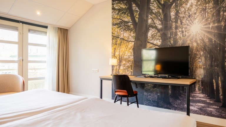 Comfort kamer - Parkhotel Tjaarda