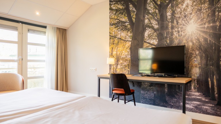Comfort kamer - Parkhotel Tjaarda