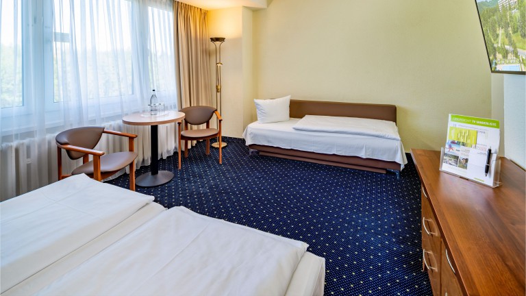 Standaard kamer - AHORN berghotel Friedrichroda