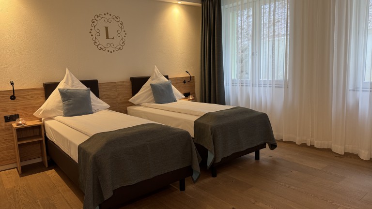 Standaard kamer - Landgasthof zur Burg Grenzau