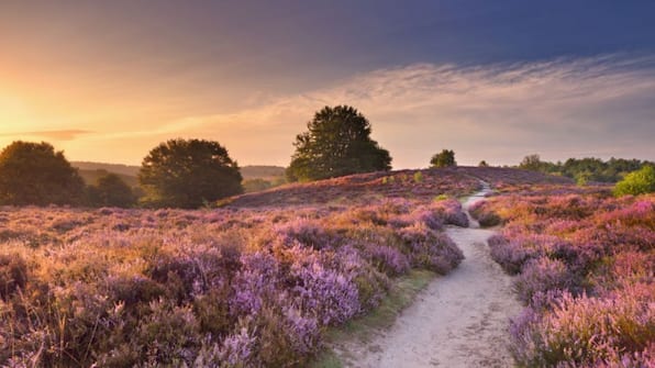 Veluwe - Hof van Putten
