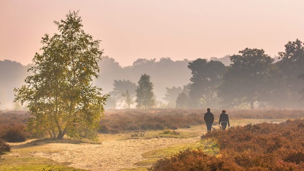 Veluwe - Hof van Putten