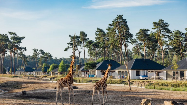 Safari Resort Beekse Bergen