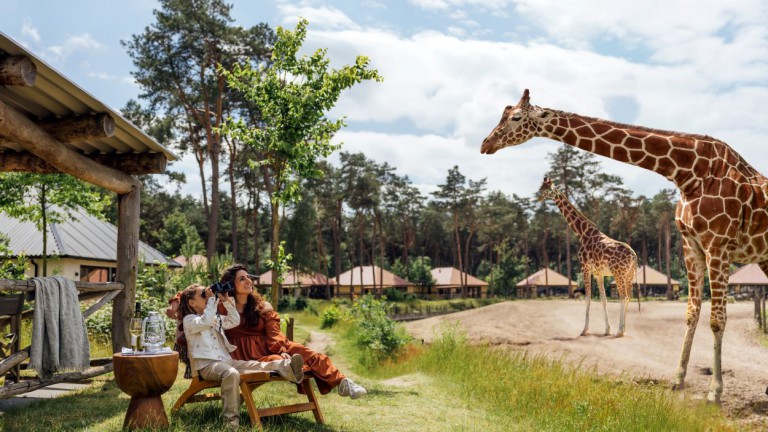 Safari Resort Beekse Bergen