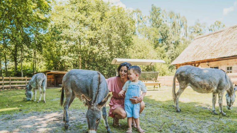 Vakantiepark Dierenbos