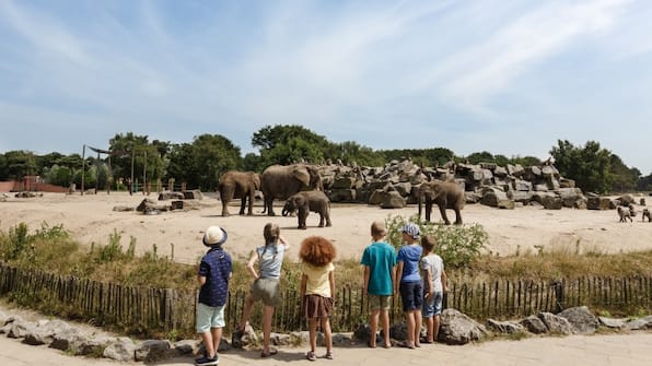 Omgeving - Vakantiepark Dierenbos Omgeving - Vakantiepark Dierenbos