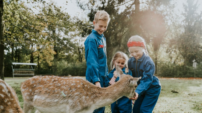 Hert - Vakantiepark Dierenbos