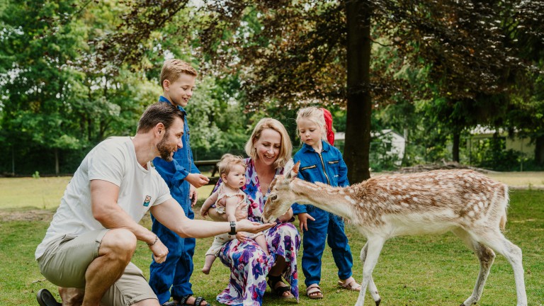 Sfeer - Vakantiepark Dierenbos