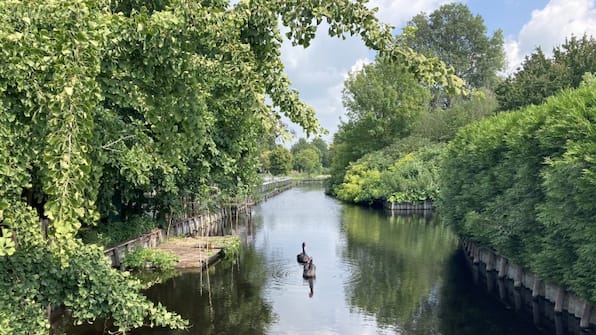 Aan het water - GreenFloat Aan het water - GreenFloat