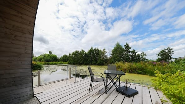 Greenhouse Rudbeckia - GreenFloat Greenhouse Rudbeckia - GreenFloat