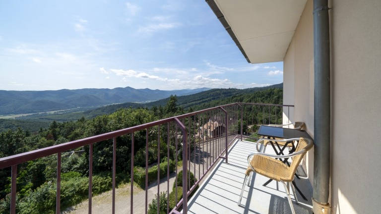 Deluxe kamer met balkon - All in Alexian Hotel